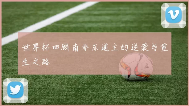 世界杯回顾南非东道主的逆袭与重生之路