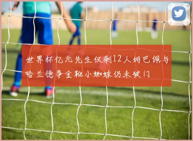 世界杯亿元先生仅剩12人姆巴佩与哈兰德争金靴小蜘蛛仍未破门